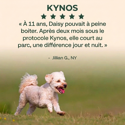 kynos